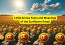 field of sunflower emojis