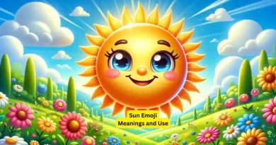 Meaning and use of the Sun Emoji